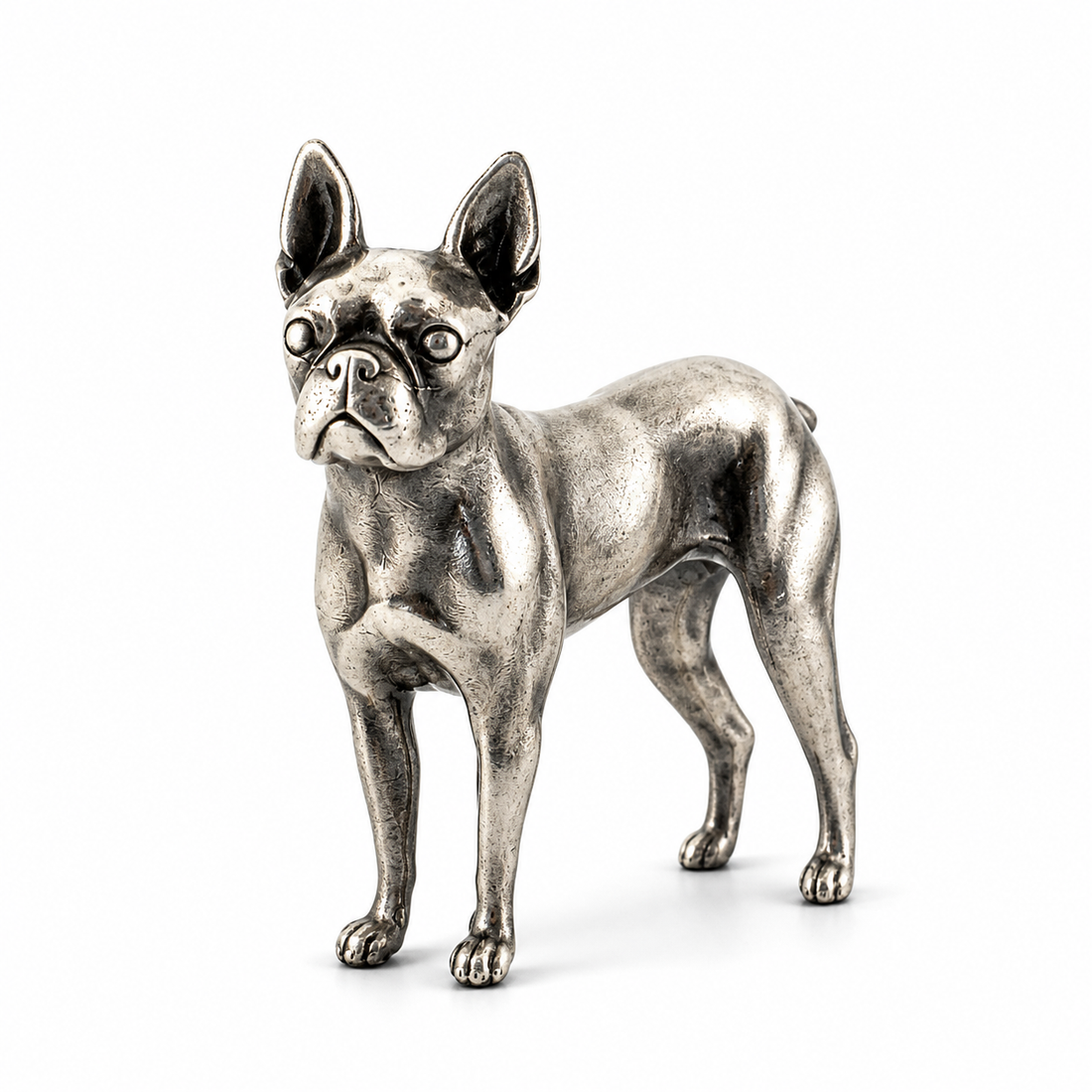 Boston Terrier V2