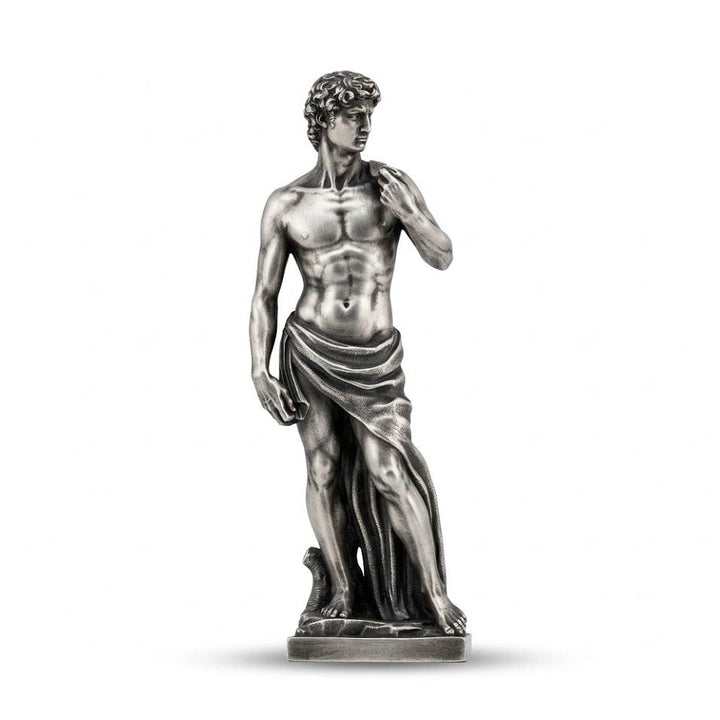 Michelangelo's David