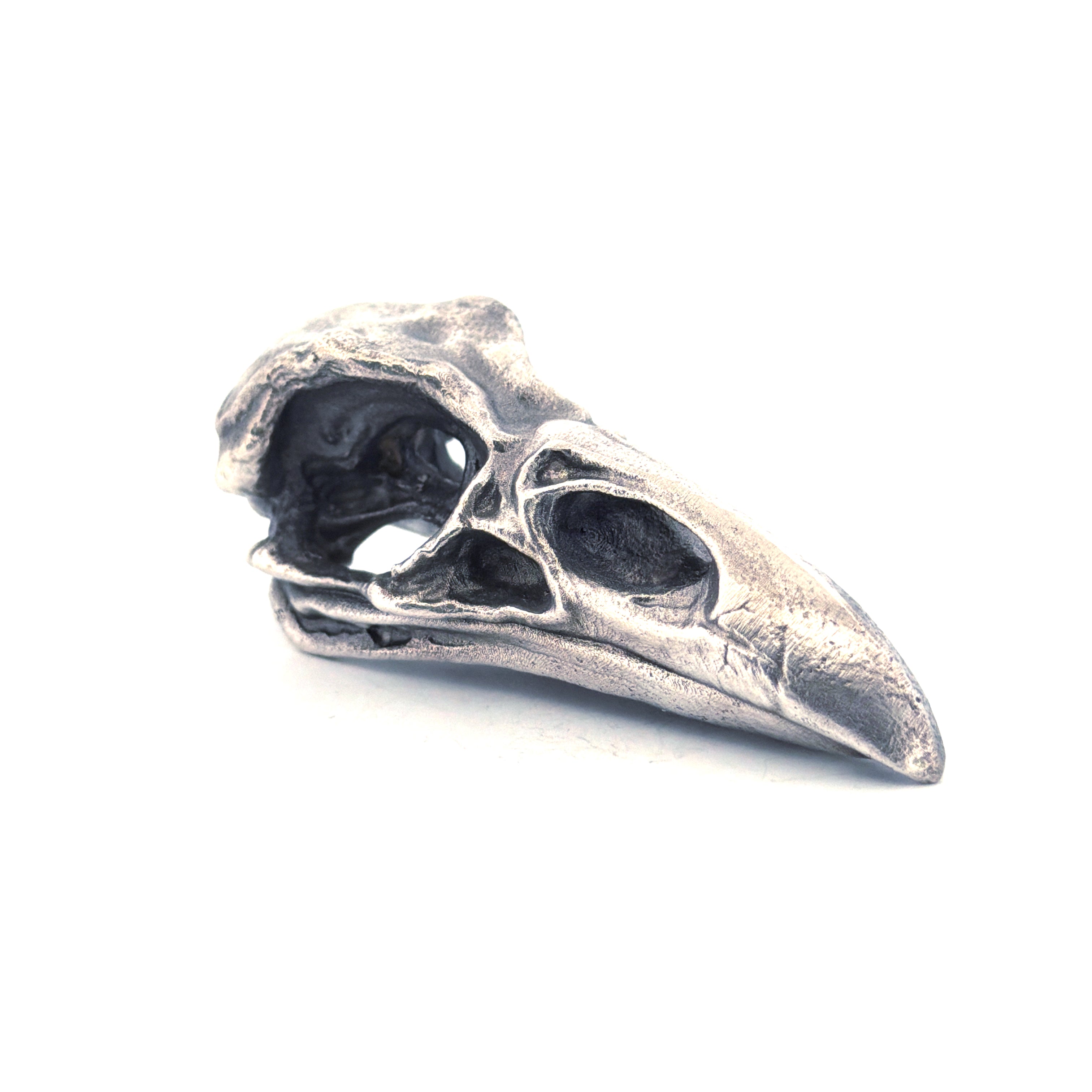 Raven Skull