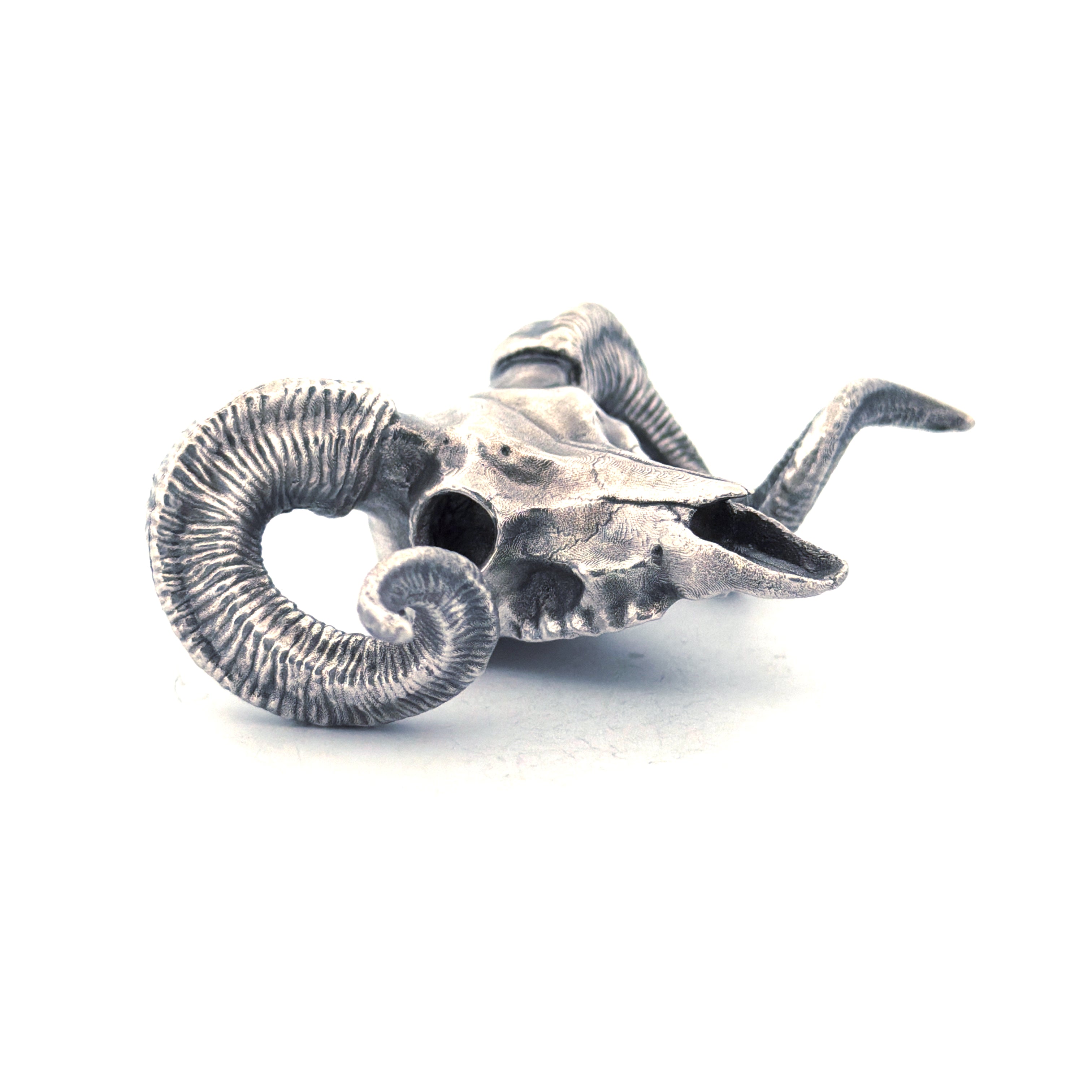 Ram Skull