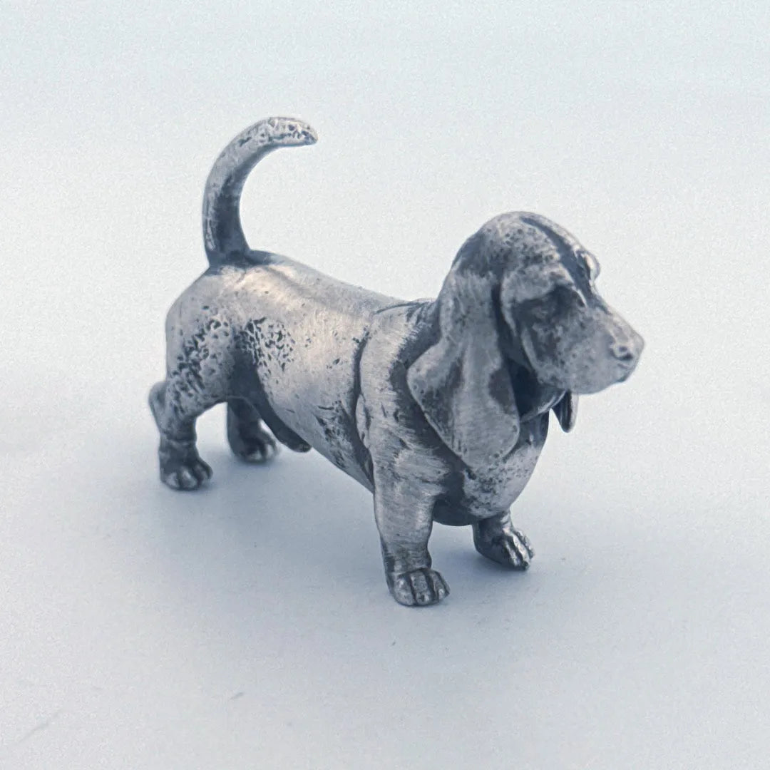 Basset Hound