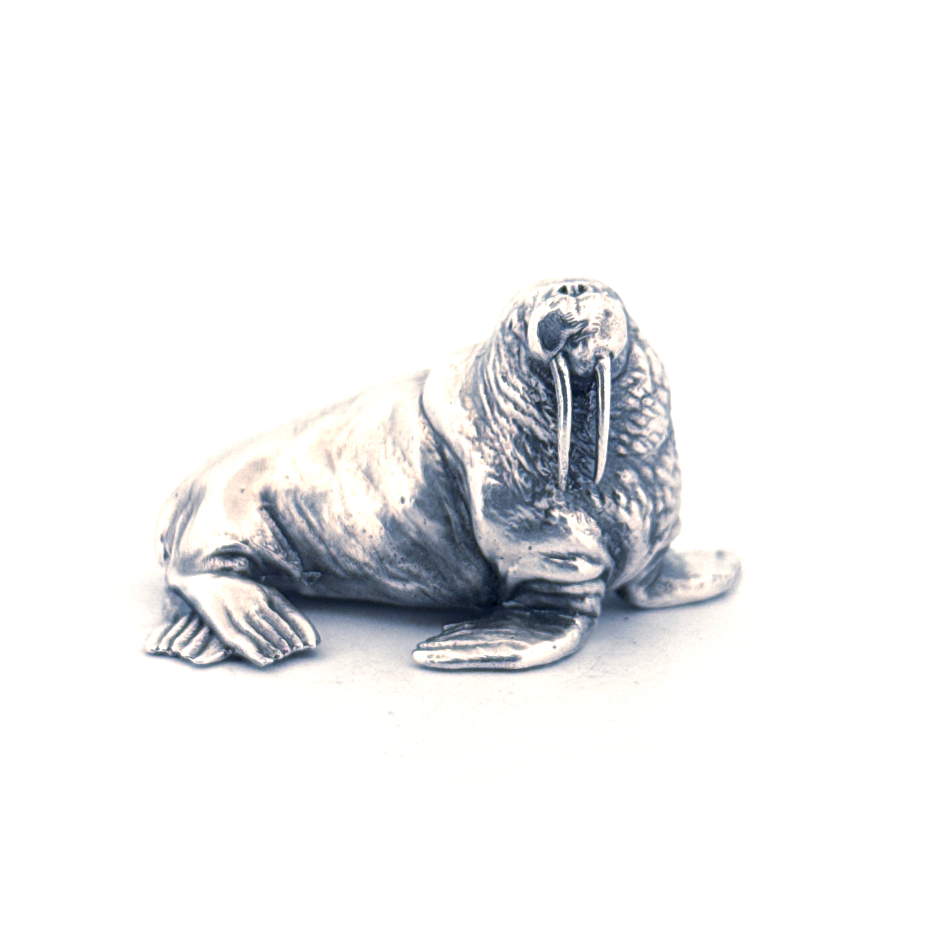 Walrus