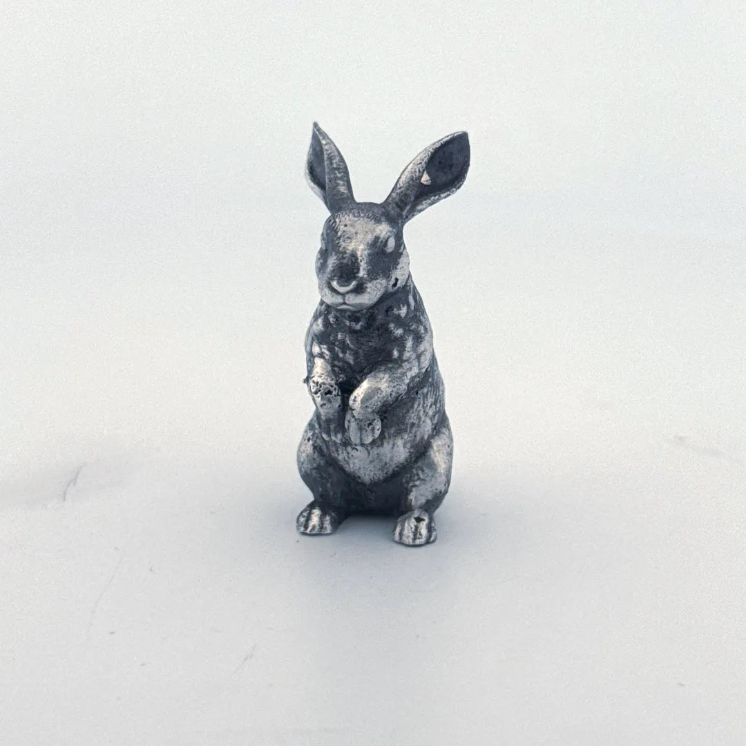 Bunny Rabbit