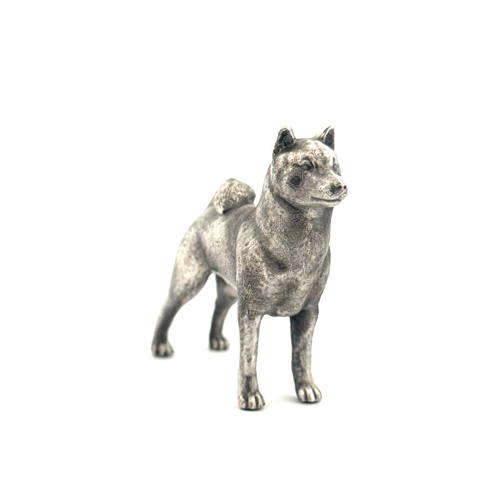 Shiba