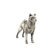 Shiba