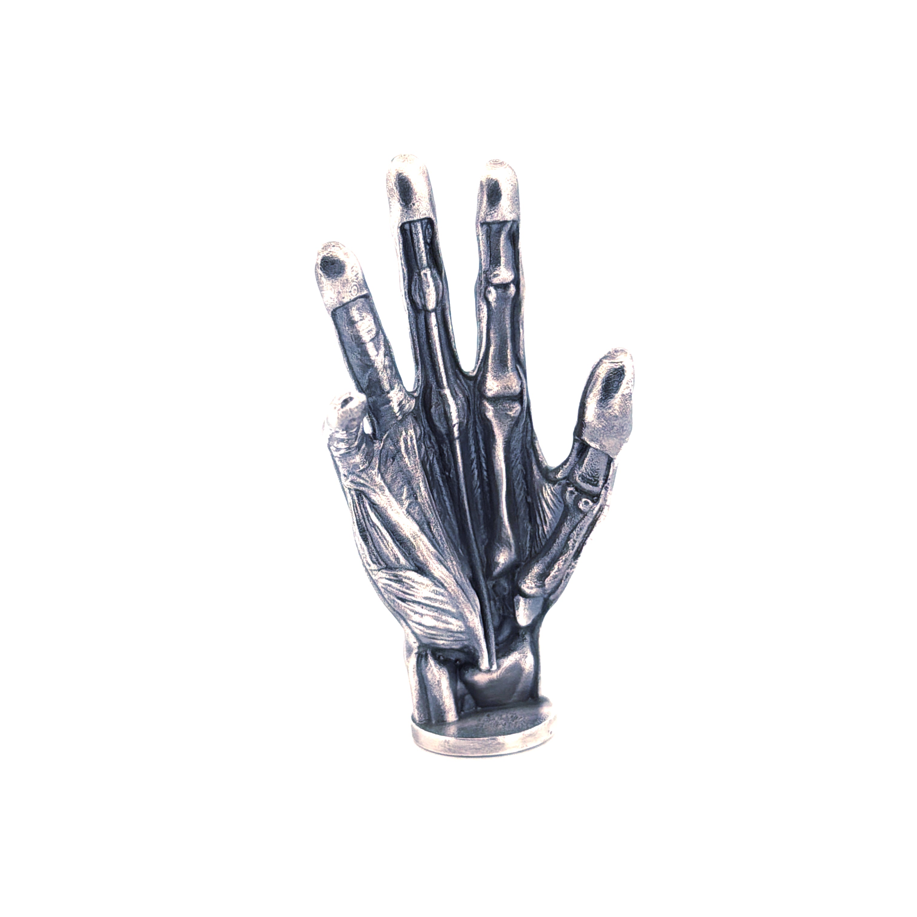 Anatomical Hand