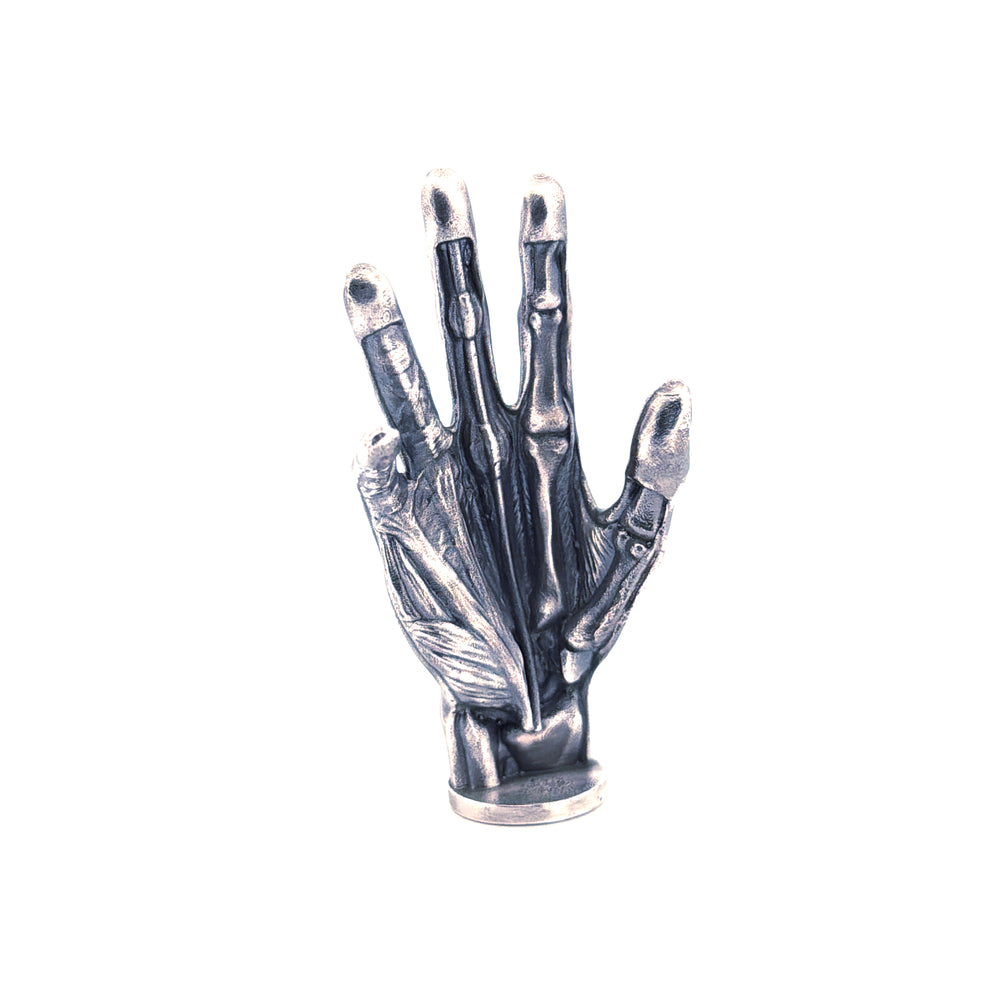 Anatomical Hand