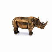 Rhino