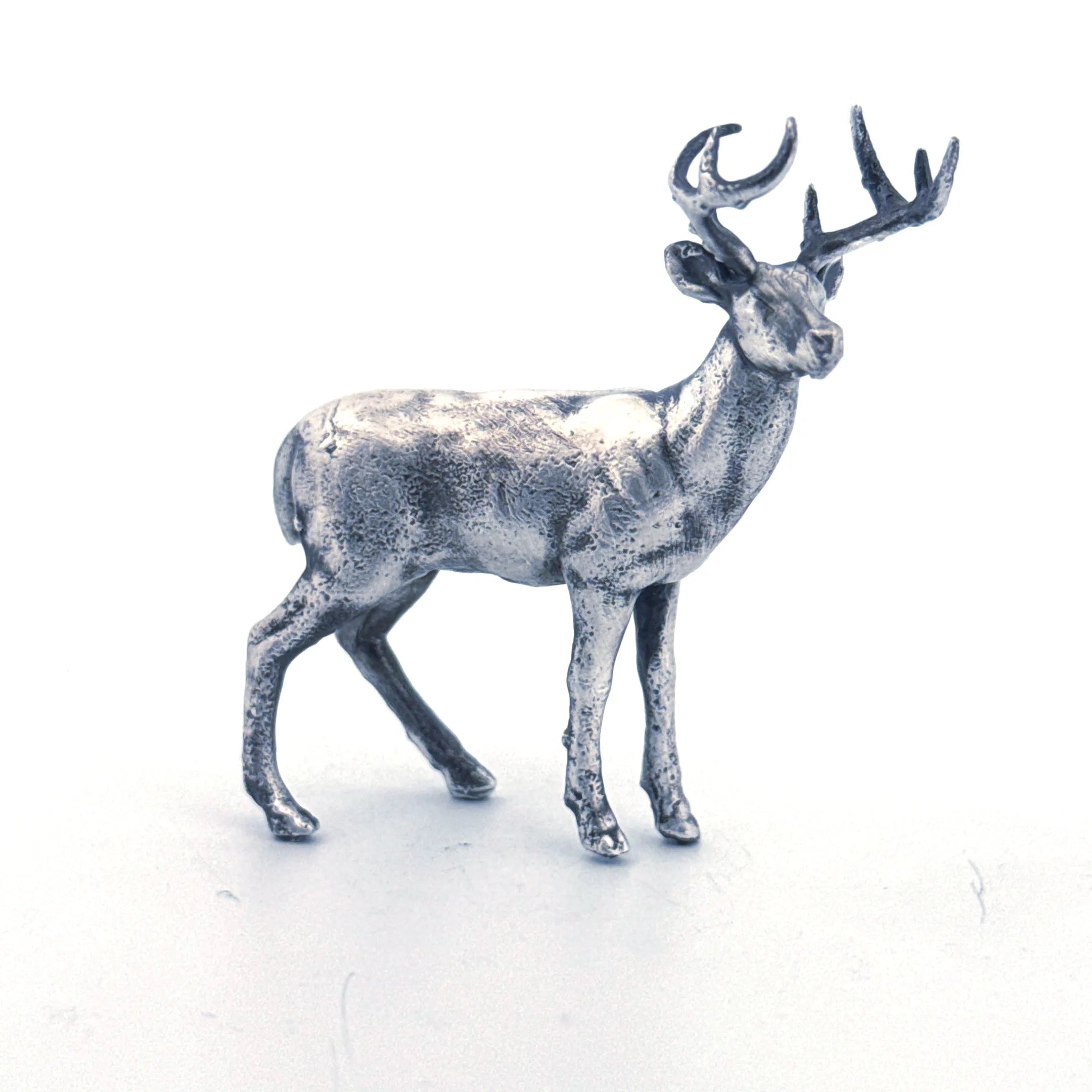 White Tailed Deer