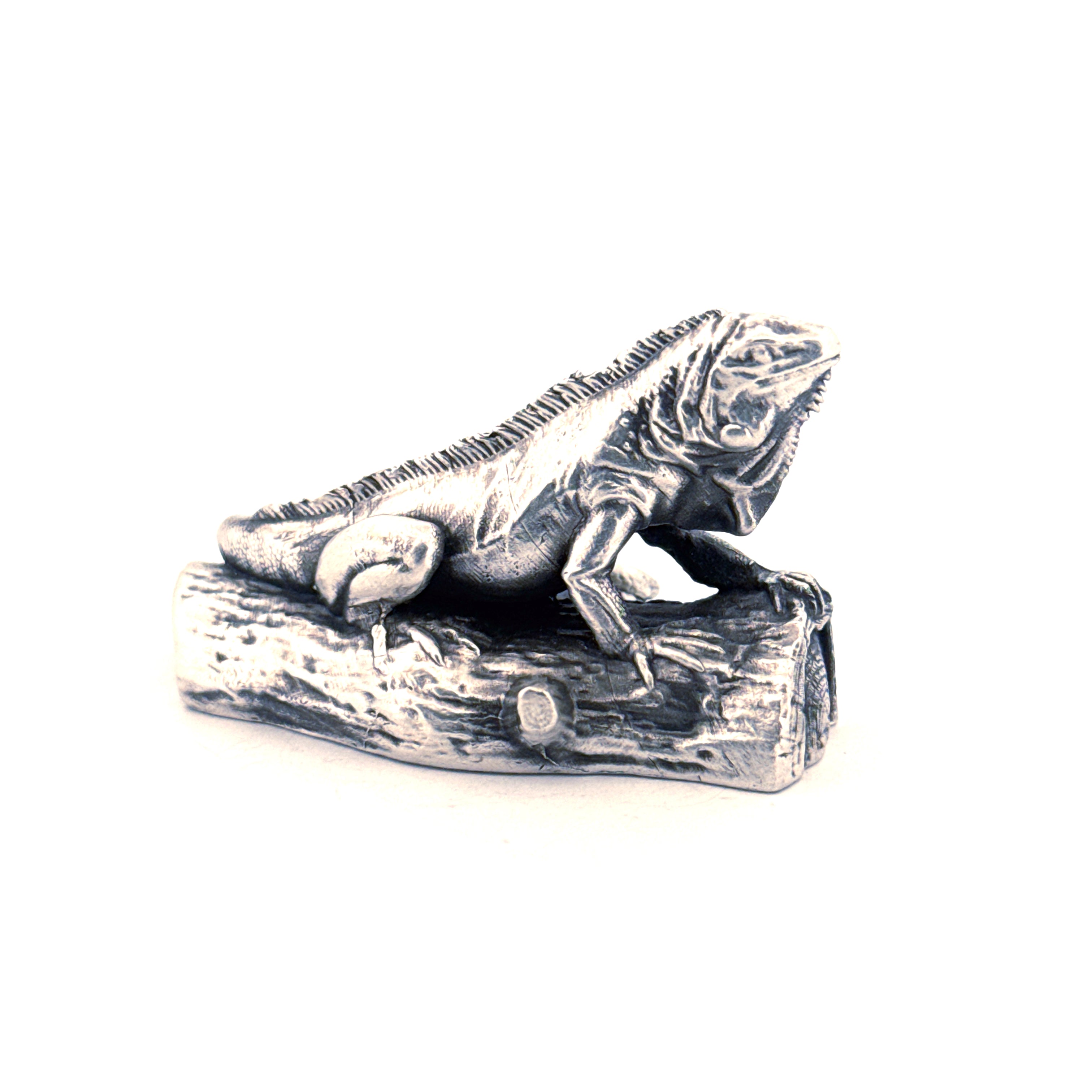 Iguana