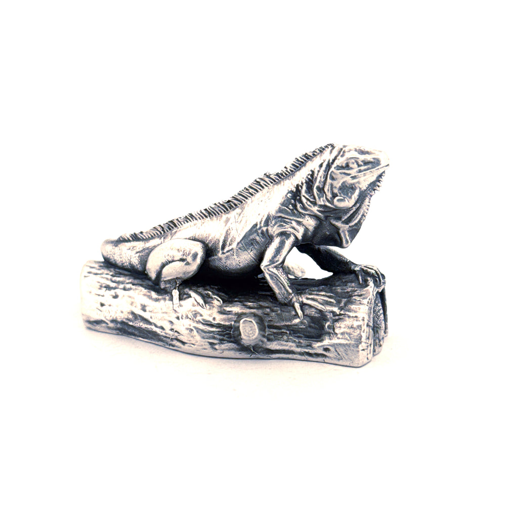 Iguana