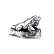 Iguana