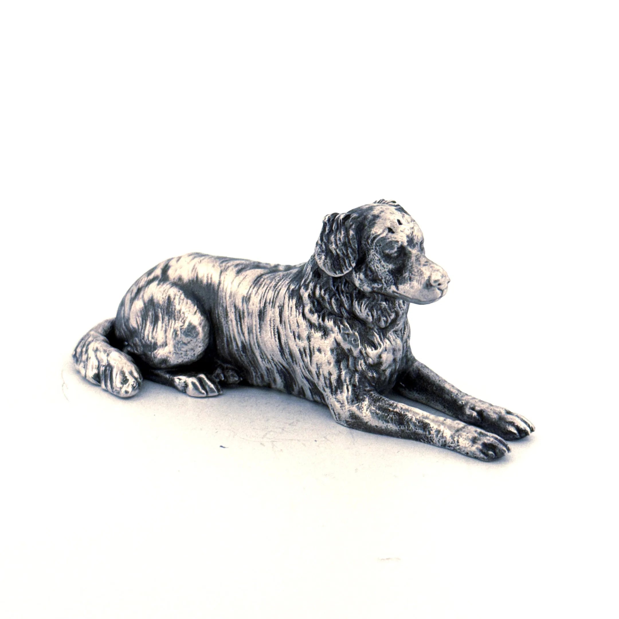 Australian Shepherd