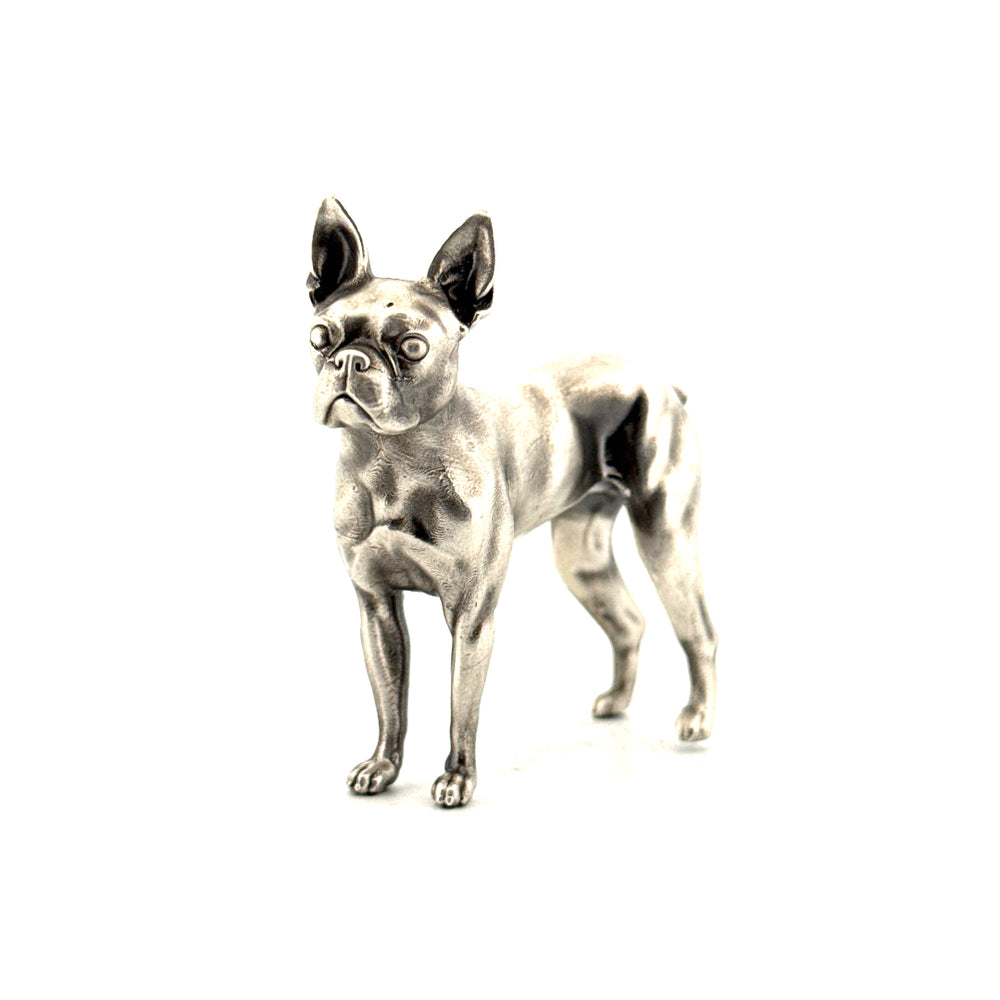 Boston Terrier V2