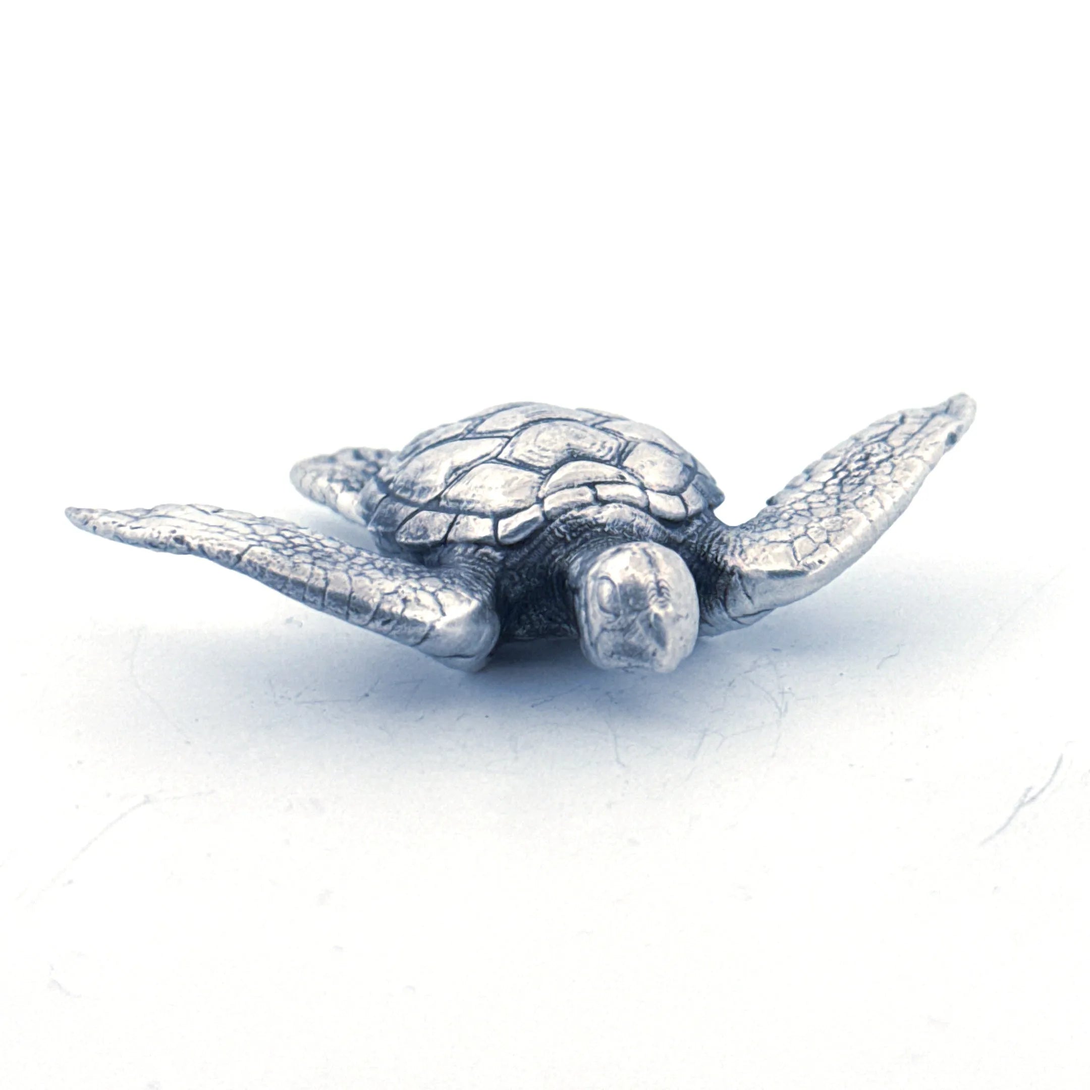 Sea Turtle