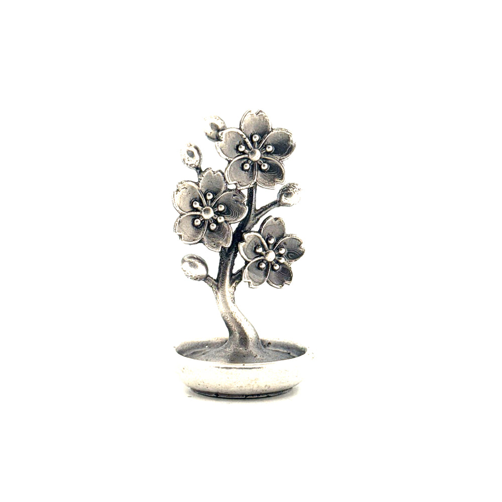 Cherry Blossom Tree