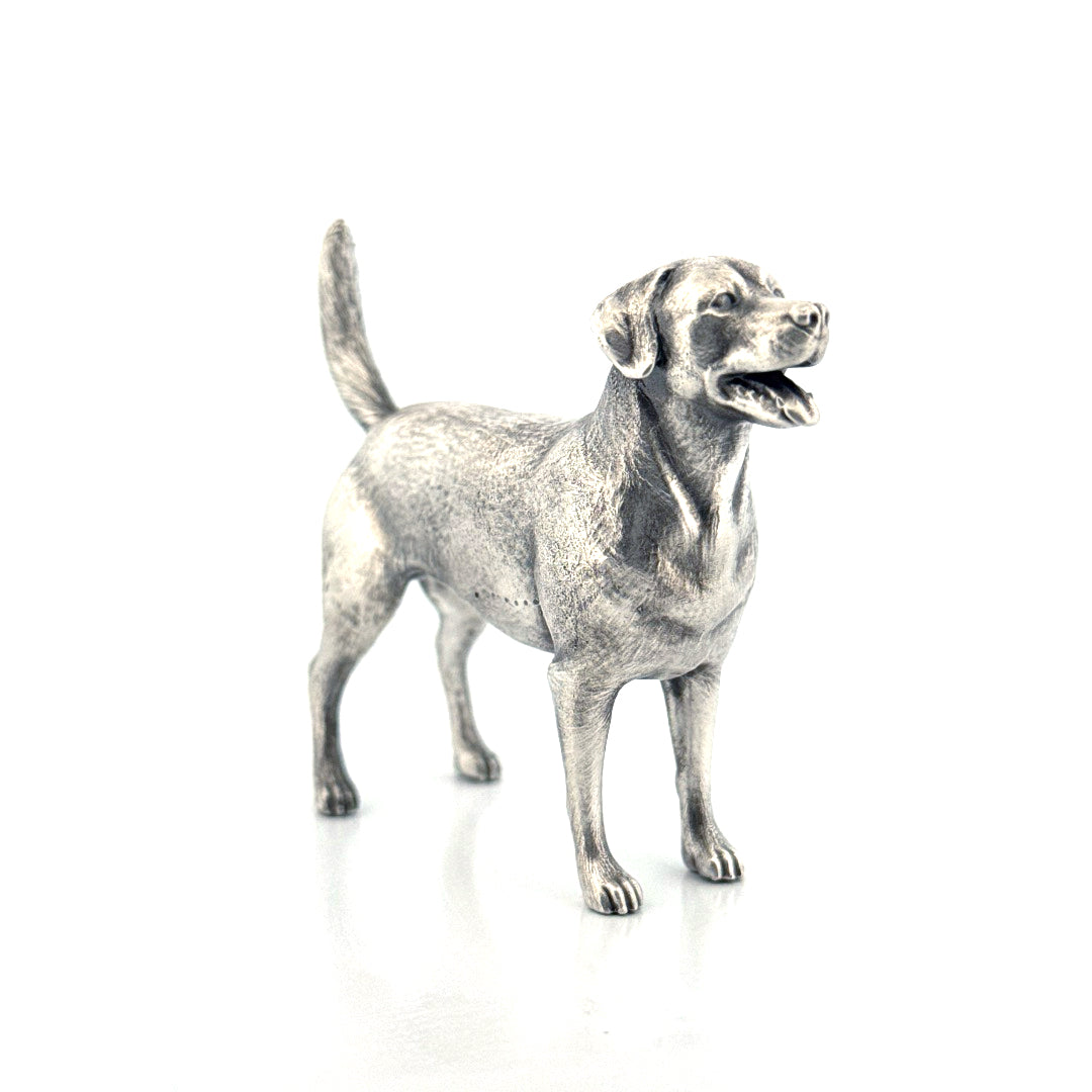 Labrador