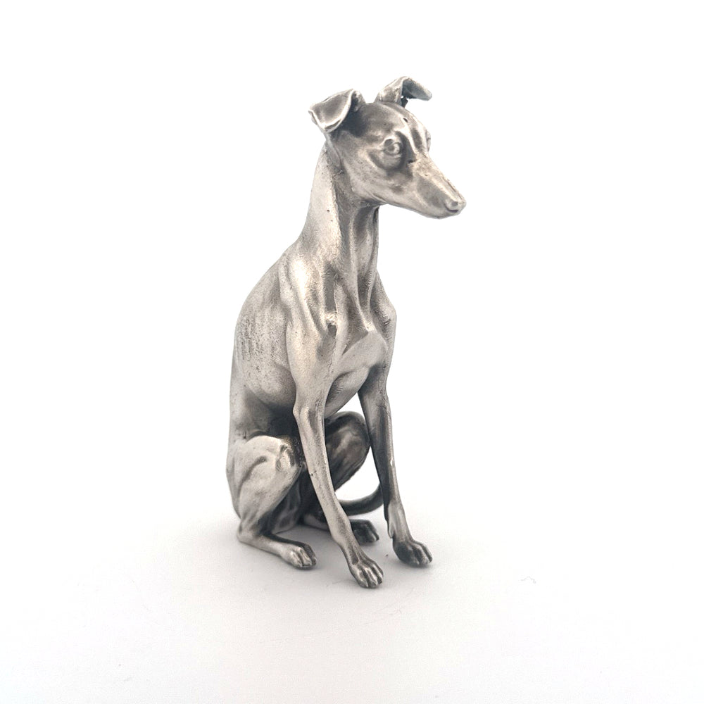Whippet