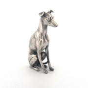 Whippet