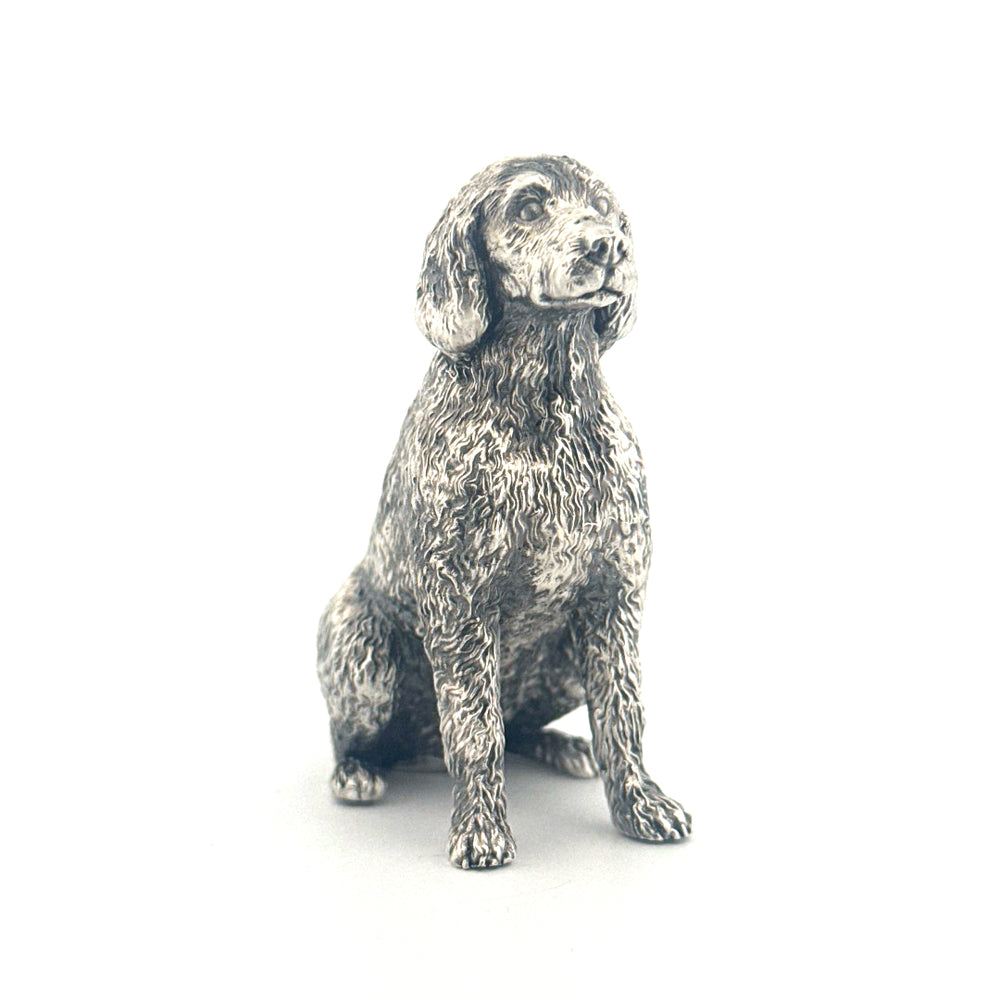 Labradoodle