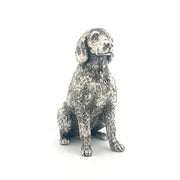 Labradoodle