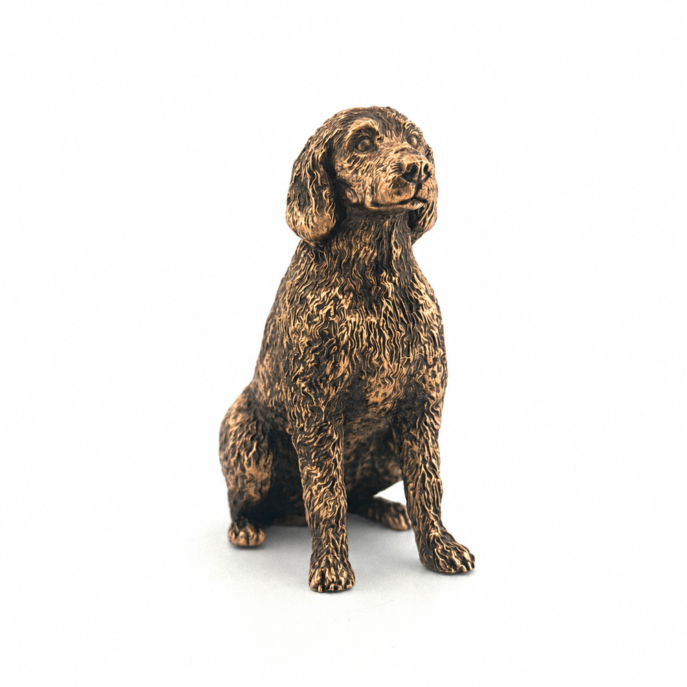 Labradoodle