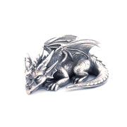 Sleeping Dragon