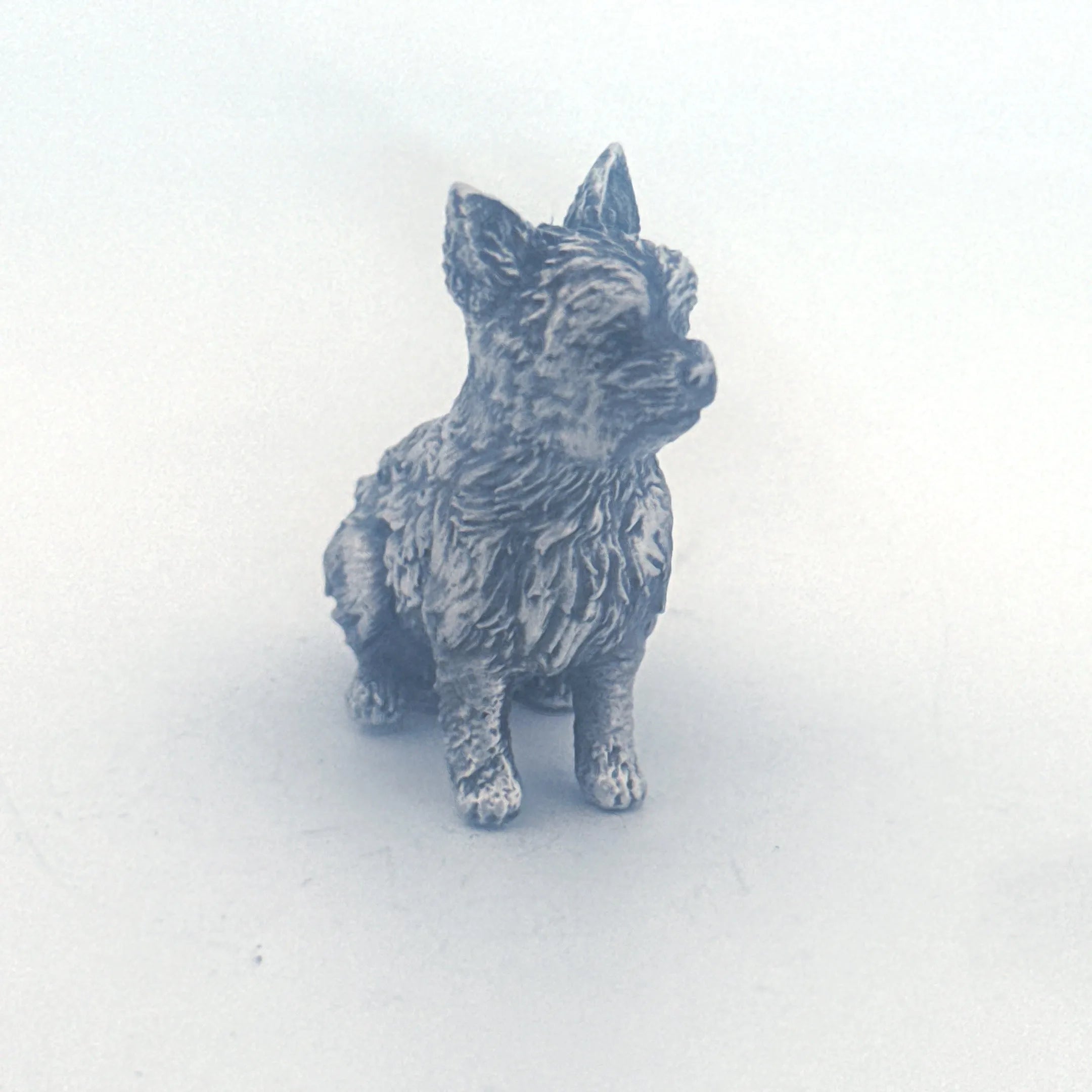 Yorkie