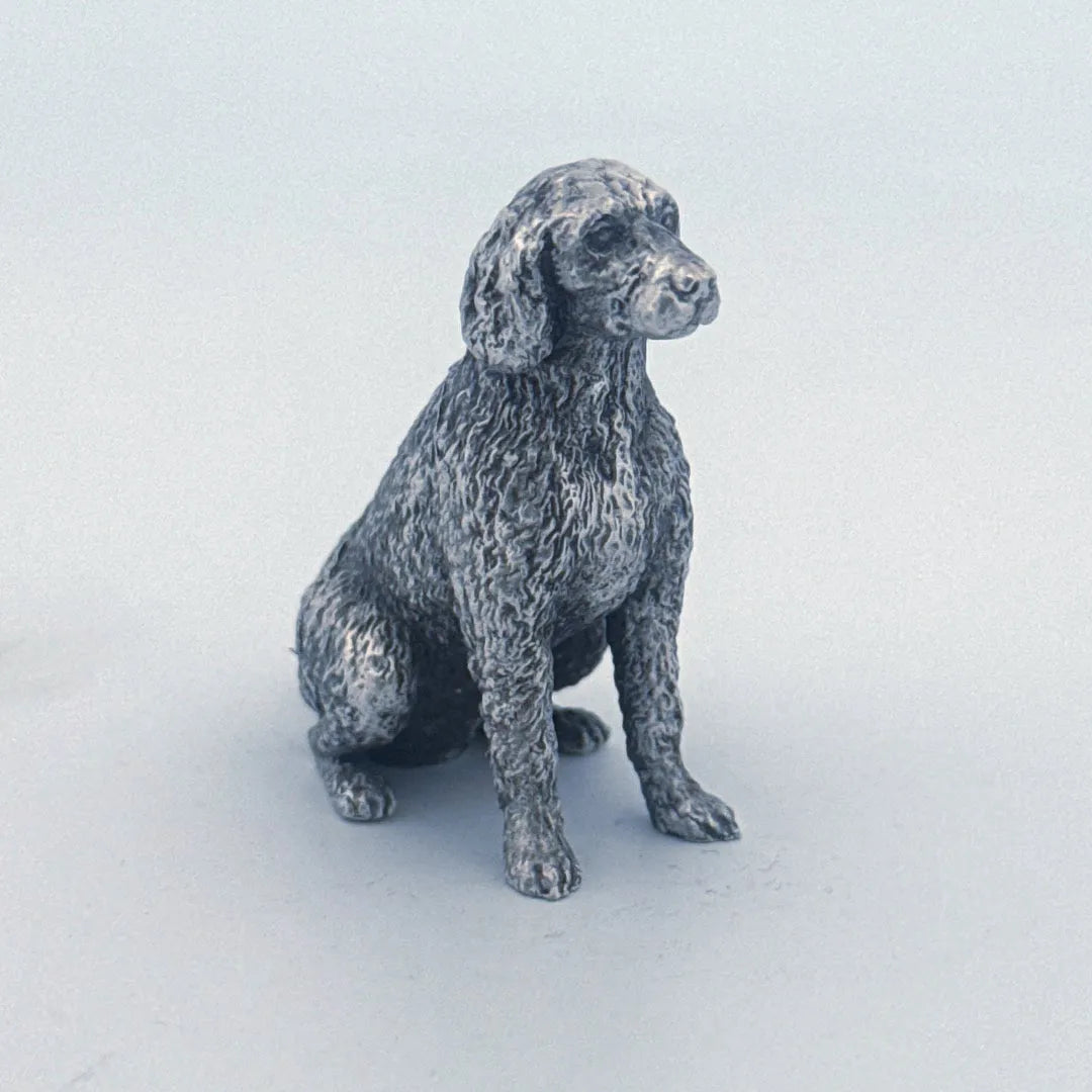 Labradoodle