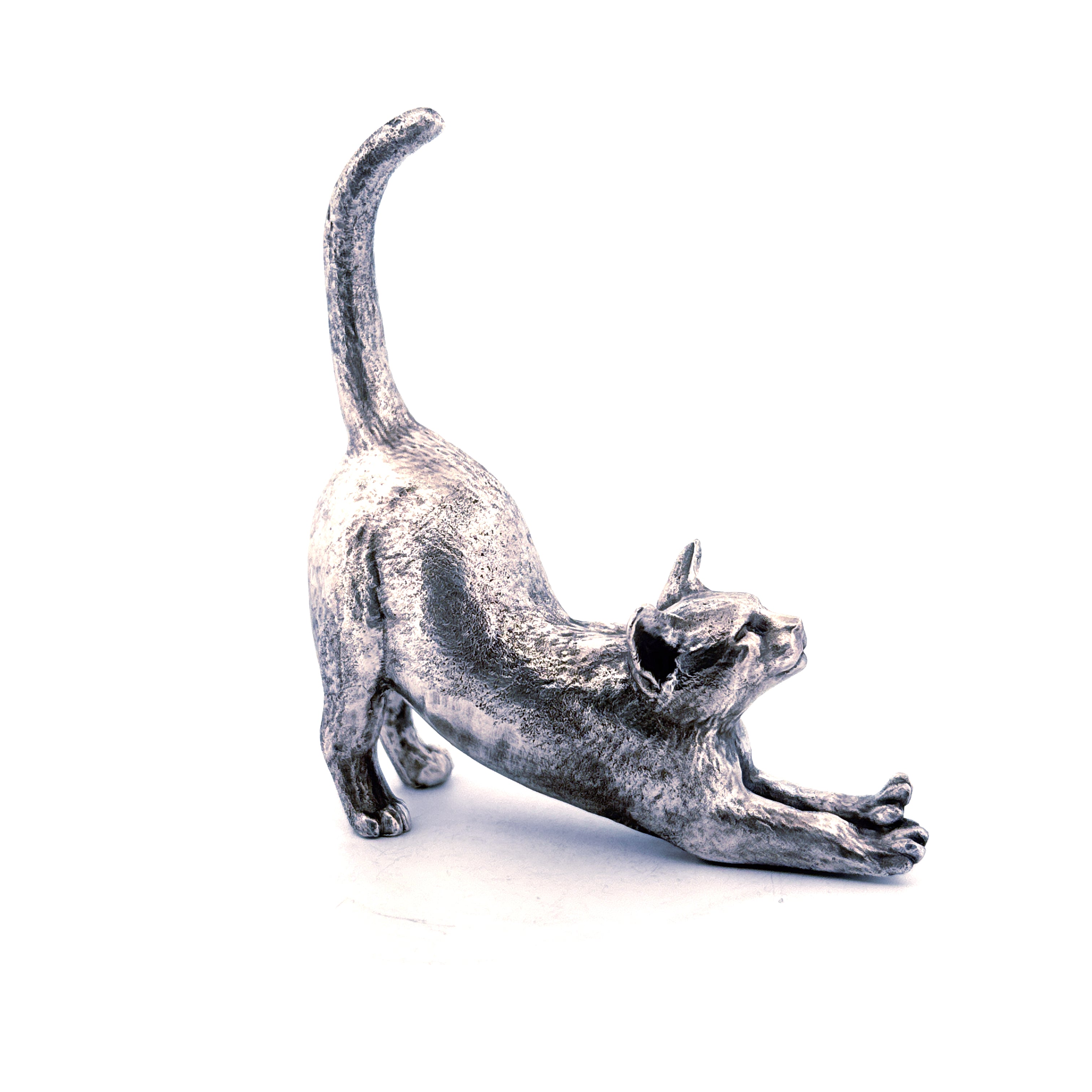 Stretching Cat