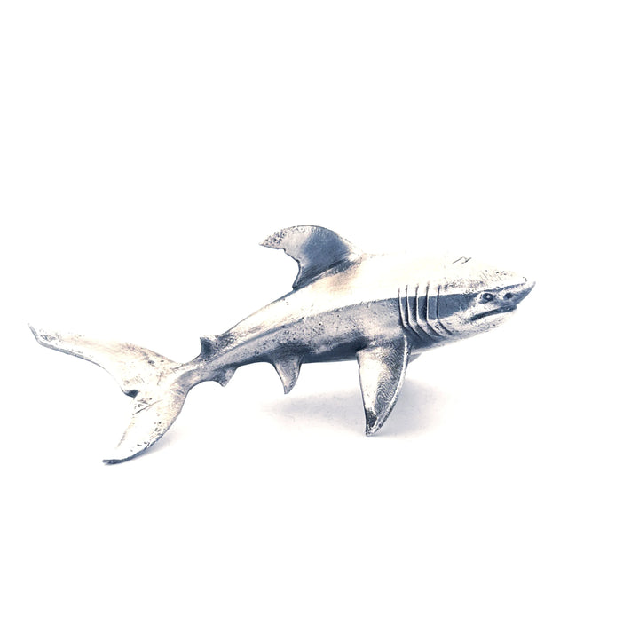 Shark
