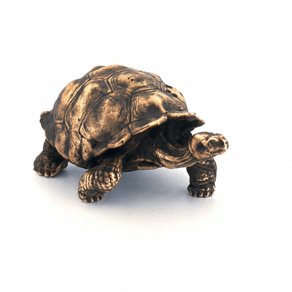 Galapagos Tortoise