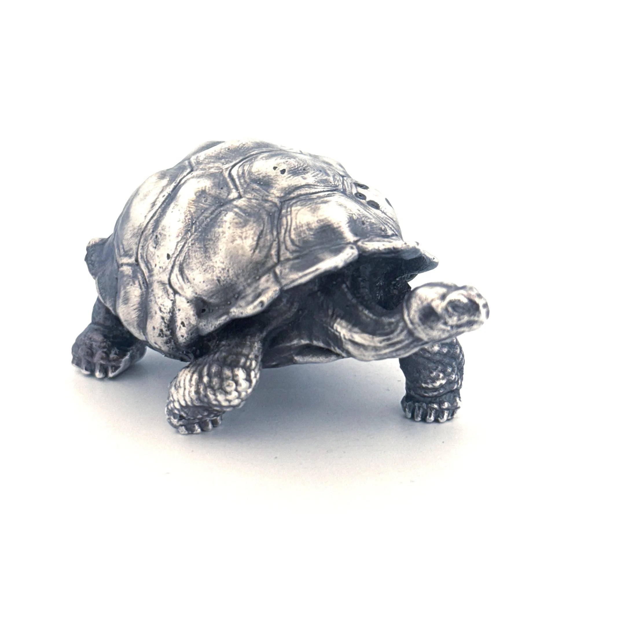 Galapagos Tortoise