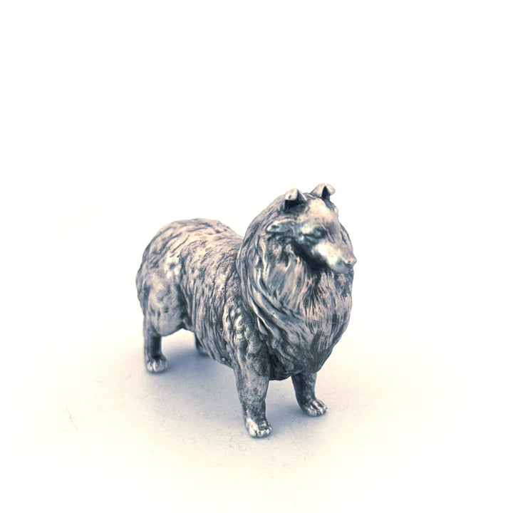 Sheltie