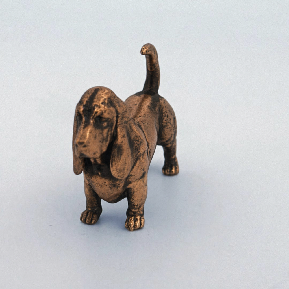 Basset Hound