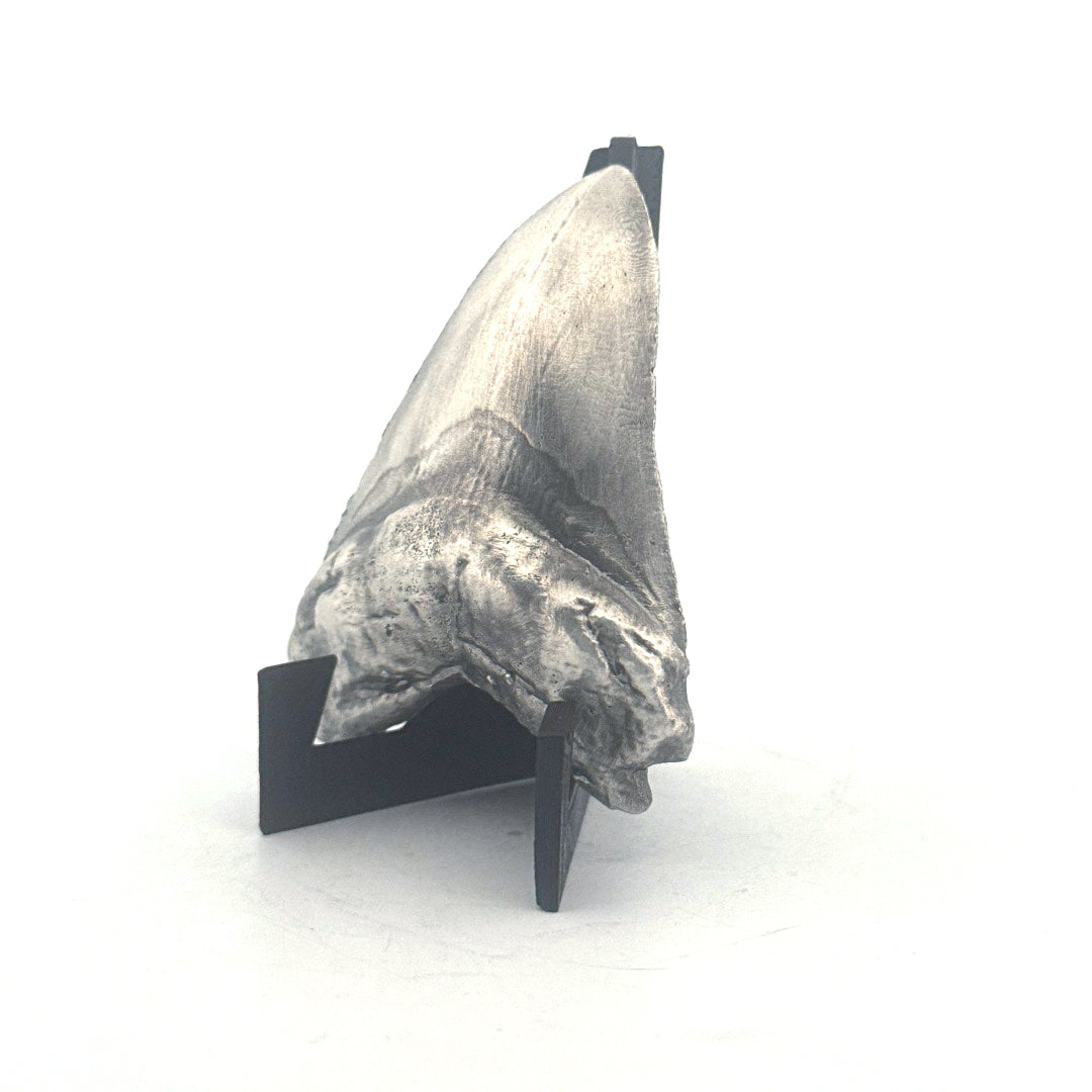 Shark Tooth