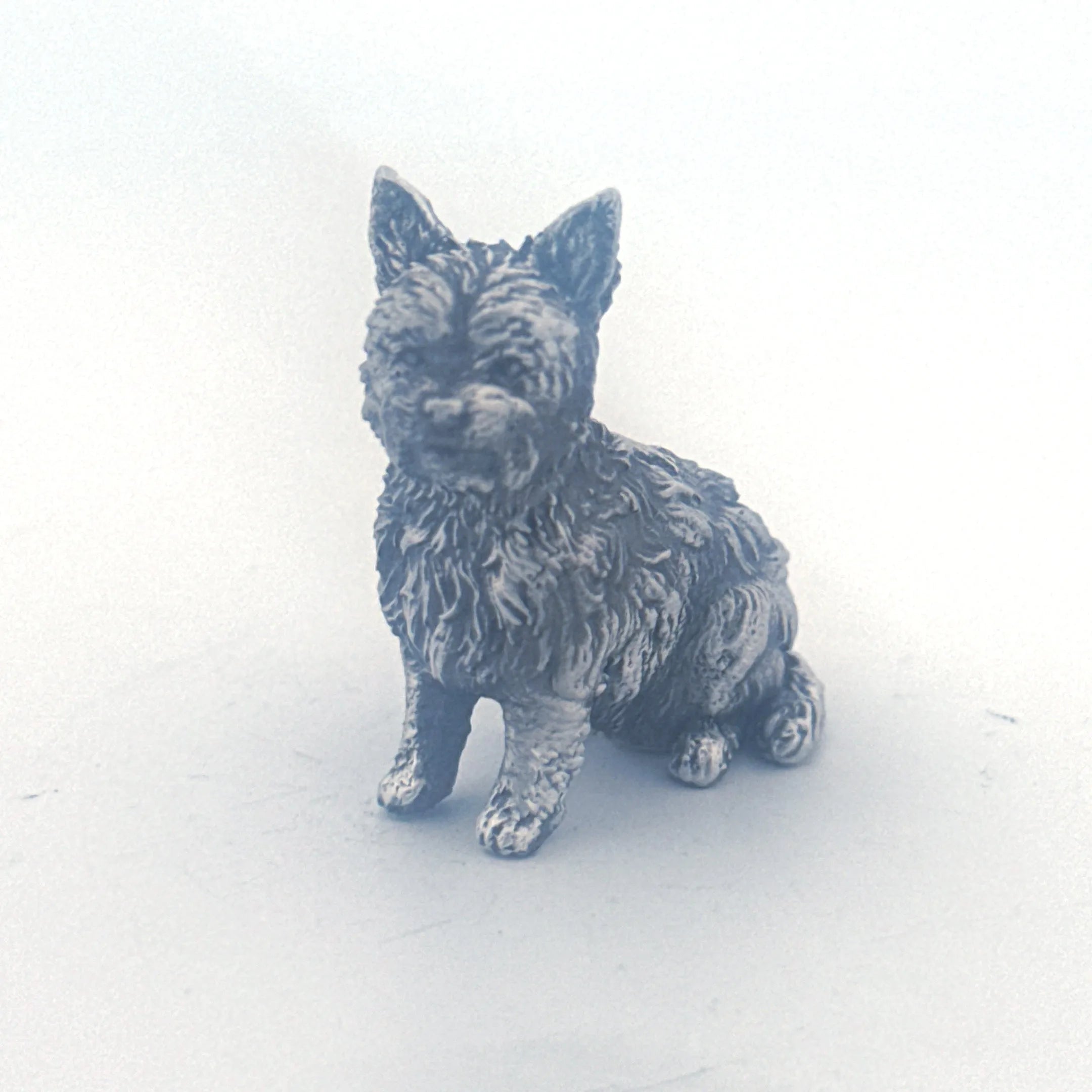 Yorkie