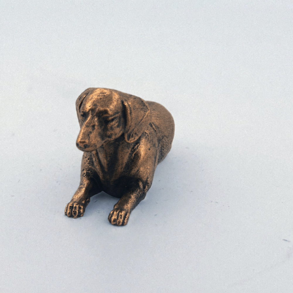 Dachshund
