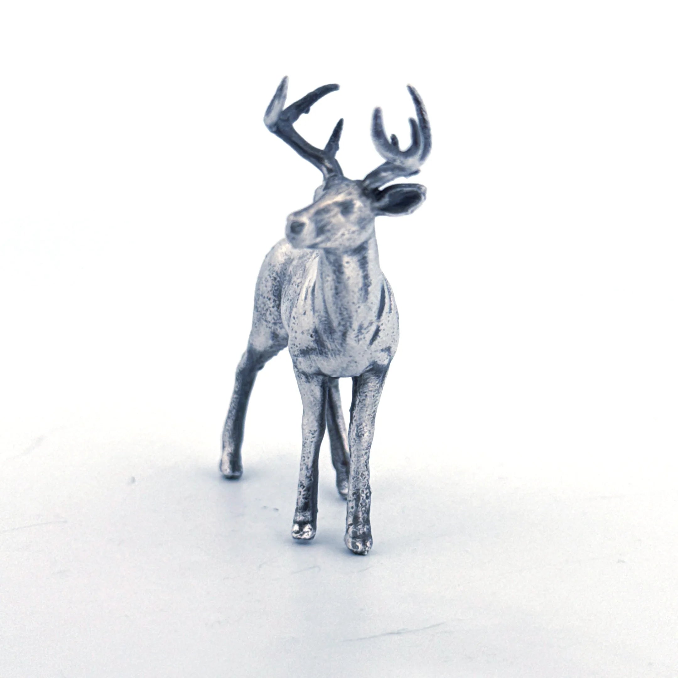 White Tailed Deer