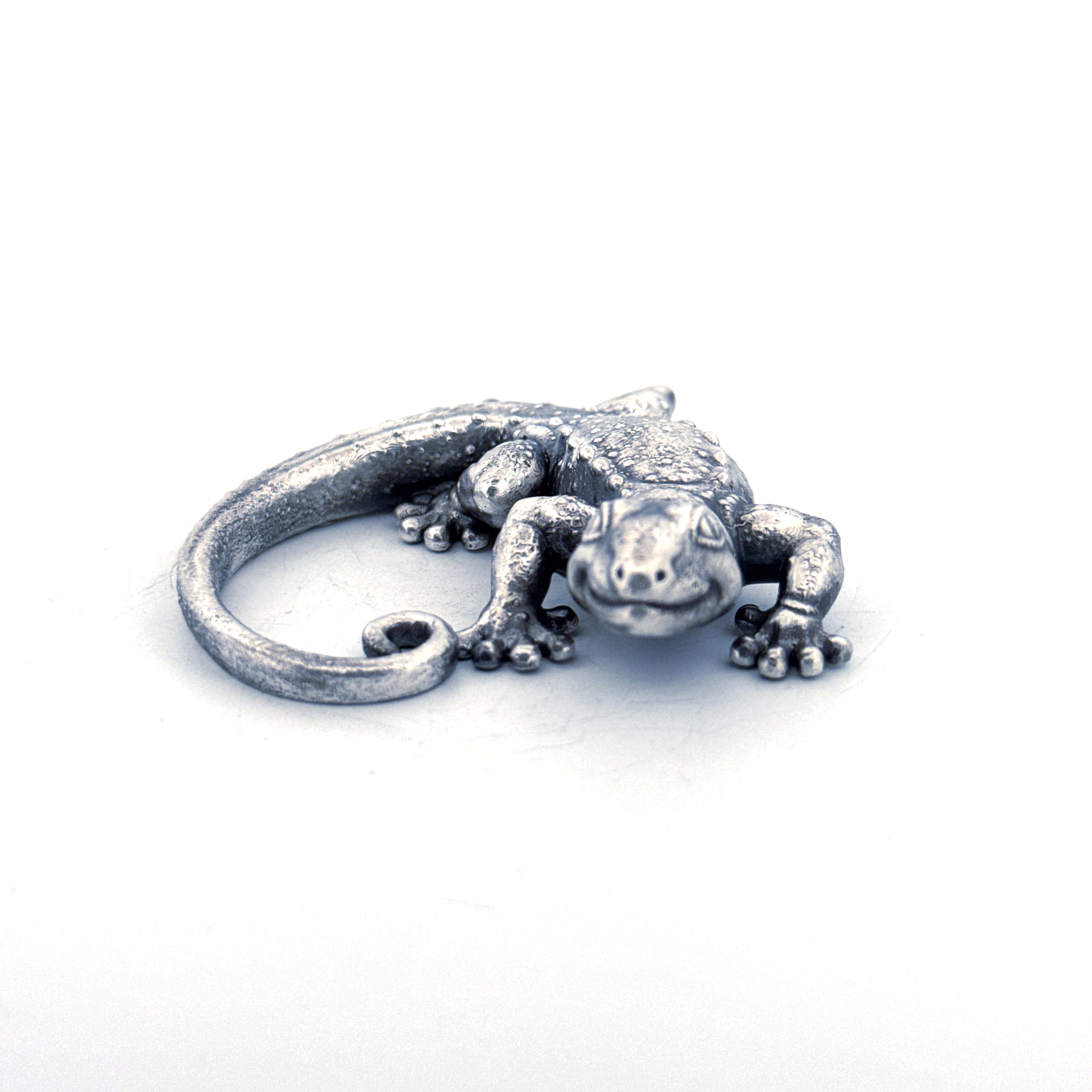 Silver Gecko