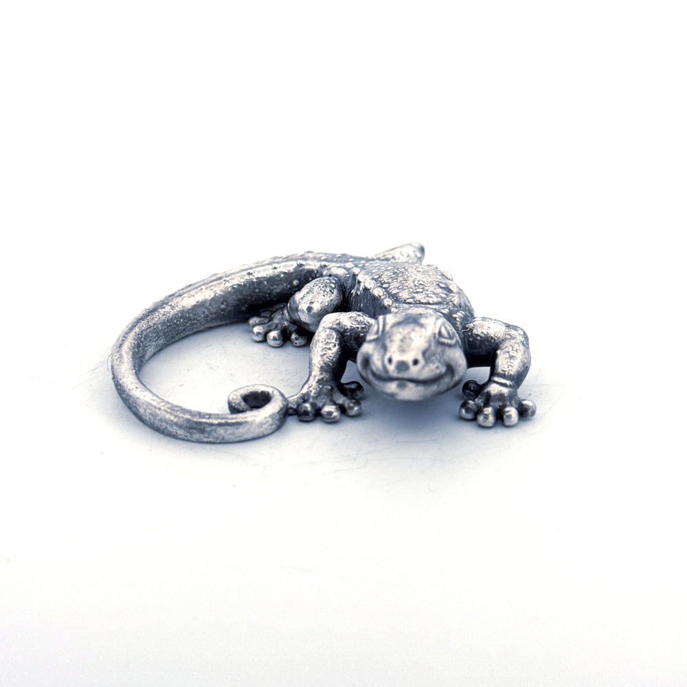 Silver Gecko