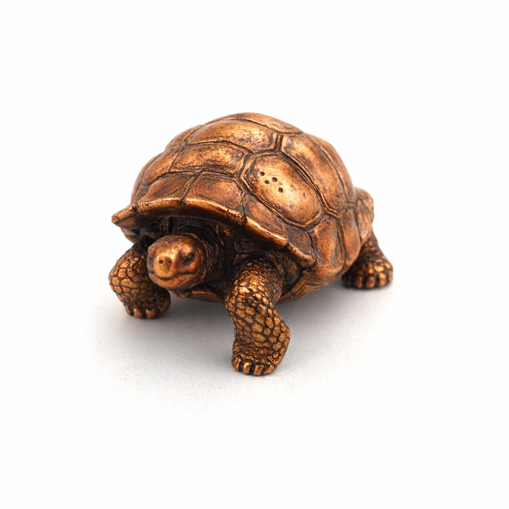 Galapagos Tortoise