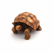 Galapagos Tortoise