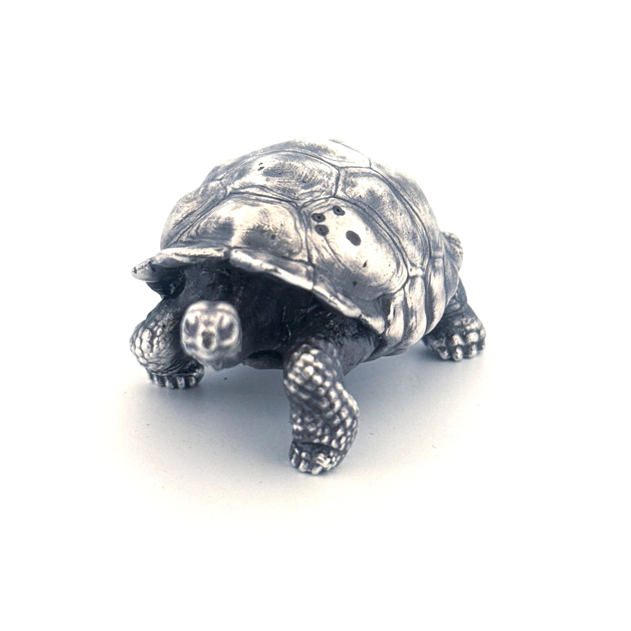 Galapagos Tortoise