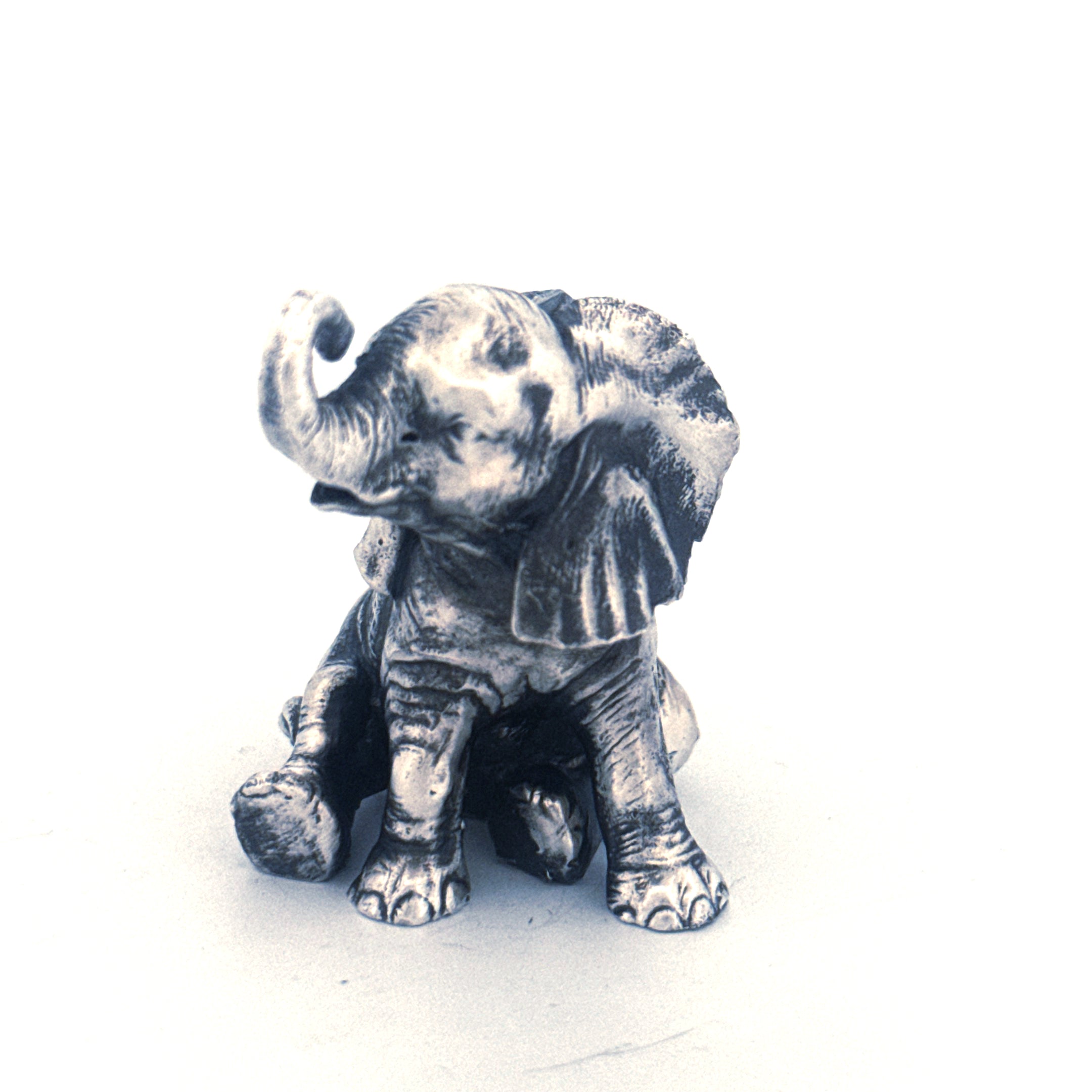 Baby Elephant