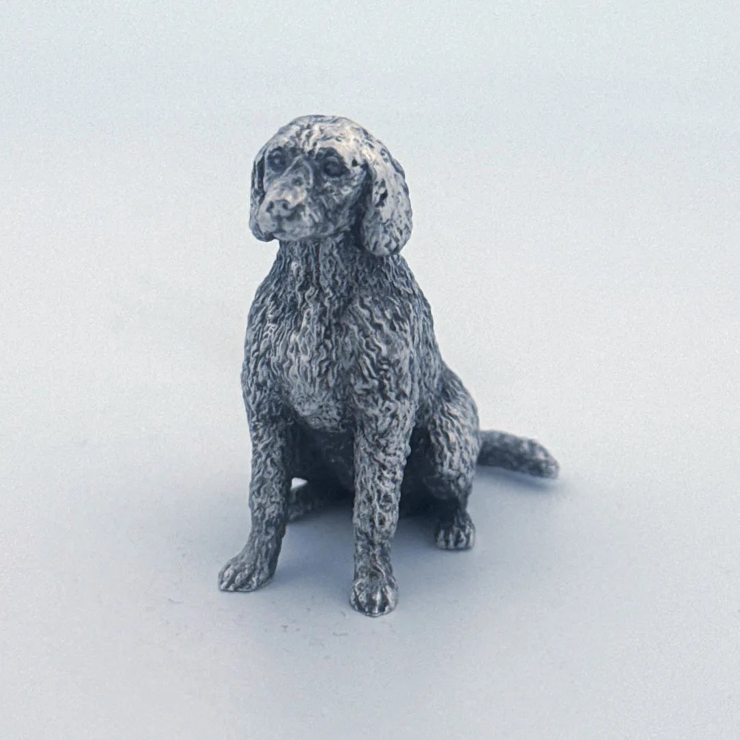 Labradoodle