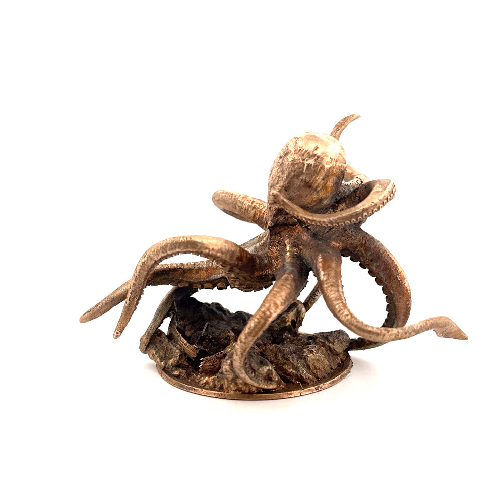 The Kraken