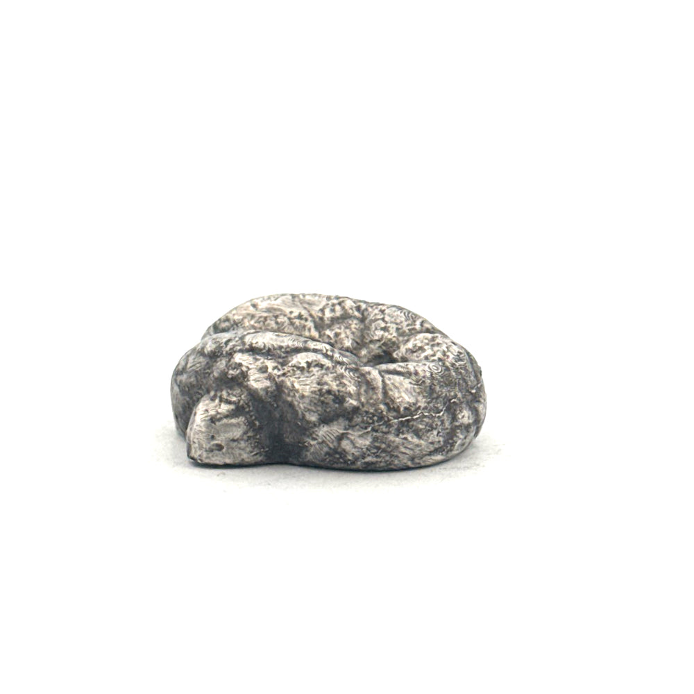Turd