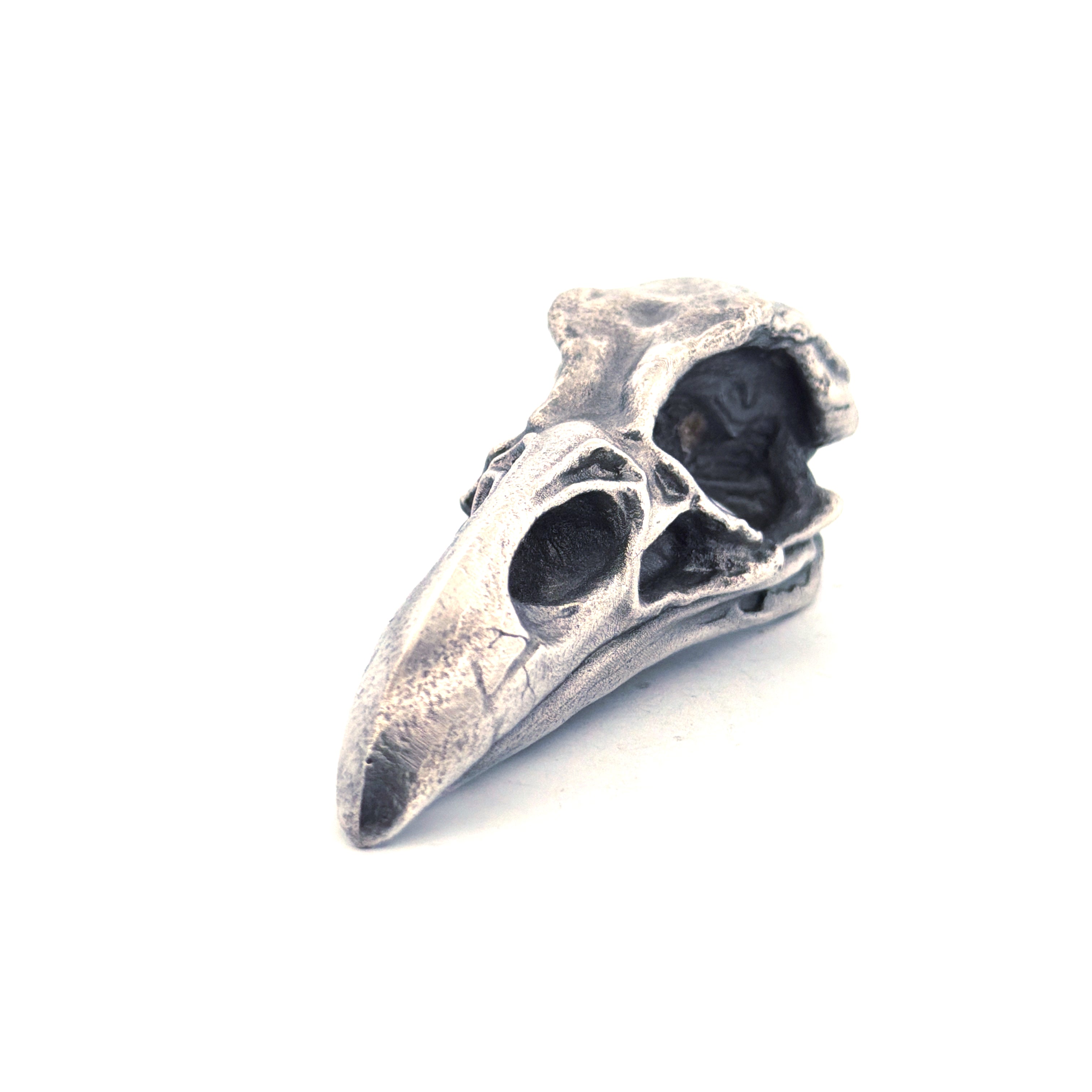 Raven Skull