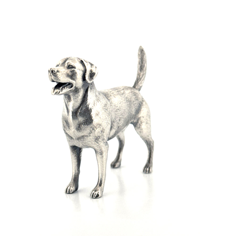 Labrador